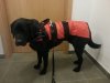 IMG-20121209-WA0008.jpg