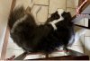IMG_8895.jpeg