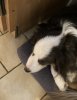 IMG_8951.jpeg