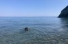 IMG_9775.jpeg