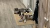 IMG_1730.jpeg