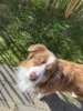 Mittel (IMG_5345).jpeg