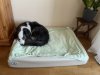 IMG_2891.jpeg