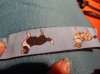 DSC01272.jpg