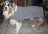 IMG_7464a.jpg