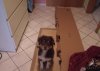 DSCF0347b.jpg