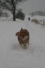 Schneespaziergang 02.12.12 008.jpg