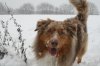 Schneespaziergang 02.12.12 072.jpg