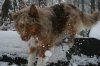 Schneespaziergang 02.12.12 159.jpg