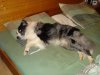 DSC04299.jpg