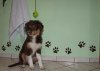DSCF0378kl.jpg