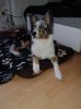 20130106_103622.jpg