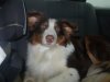 DSCN3689.jpg