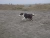 DSCN3695.jpg