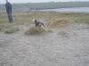 DSCN3698.jpg