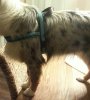 20130110_004327-1.jpg
