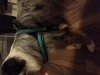 20130110_003211.jpg