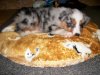 100_0266.jpg