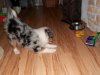 100_0283.jpg
