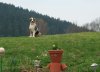 100_0533.jpg