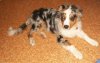 100_0485.jpg