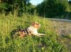 100_0588.jpg