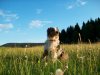 100_0607.jpg