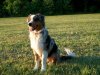 100_0655.jpg