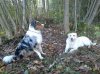 20102012122.jpg