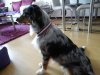DSC00595.jpg