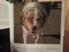 20130115_172317.jpg