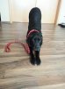 20130119_152614.jpg