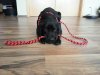 20130119_152809.jpg