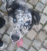 k2012-09-22 18.31.59.jpg