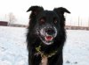 2012-12-08 04 Kopie.jpg