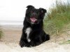 2012-07-11 11 Kopie.jpg