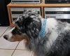 DSC_3536a.jpg