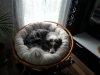 20130120_153326.jpg