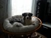 20130120_153340.jpg