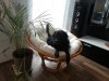 20130120_145814.jpg