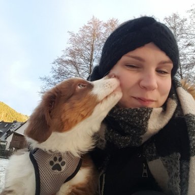 Welpen Richtig Futtern Australian Shepherd Aussie De