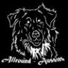 Allround-Aussies