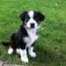 Lilly