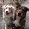 Reika&Lotte