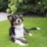 Mylo