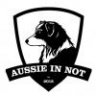 Aussie-in-Not