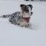 Emmi