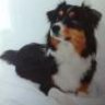 Cookie2010