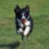 Archie2009
