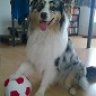 Benni.S